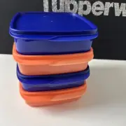 Tupperware Eco Lunch It Divided Container Set Set Of 4 New Orange And Blue