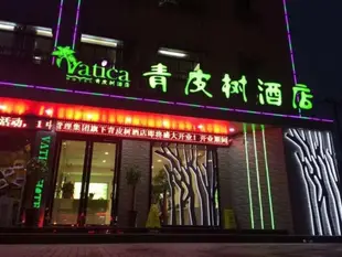 青皮樹安徽省合肥市和平路安紡總廠酒店Vatica Anhui Hefei Heping Road Anhui Textile Mill Station Hotel