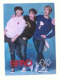 在飛比找Yahoo!奇摩拍賣優惠-EXO 資料夾 伯賢 Chen Xiumin Spao