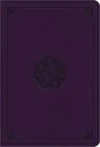 在飛比找三民網路書店優惠-Holy Bible ― English Standard 