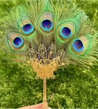 在飛比找蝦皮購物優惠-羽毛扇  孔雀羽毛扇手持扇小號羽毛扇拍攝道具婚扇直播扇子