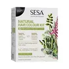 Sesa 4 Step Natural Hair Colour Kit 200gm + 40ml natural Black (Pack of 1)