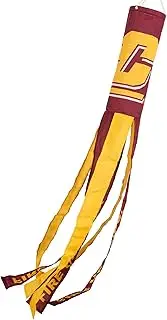 College Flags and Banners Co. Central Michigan Chippewas Windsock