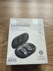 Ai Translation Earbuds Real Time 144 Language Translator Earbuds Translating