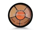 INSIGHT Cosmetics Pro Natural Concealer Palette - Corrector, 15gm