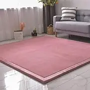 Coral Velvet Rug for Bedroom Dormitory Yoga,Home Decor for Living Room,Educational Classroom Nursery Bedroom Crawling Mat Non-Slip Rug 2cm-G- 150 * 180cm