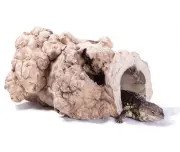Small Animal/Reptile Hide - Large