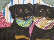13 x 19 Pop Art Print Rottweiler Collectible Dog in Quarantine by Artist KSams
