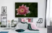 dahlia-blossom-bloom-flower-WALL ARTS SCENERY high quality Canvas home decor