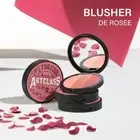 Too Cool for School Artclass By Rodin Blusher De Rosee