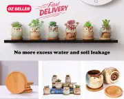 6pcs Mini Owl Plant Pots Ceramic Flowerpot Succulent Cacti Bonsai Planters Home