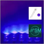 5mm UV Ultra Violent Purple LED Light Emitting Diode 100pcs F5 Clear Flat Top