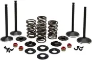 Kibblewhite Black Diamond Complete Engine Valve Kit #20-22650 Harley Davidson