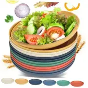 12 PACK Lightweight Wheat Straw Plates, Microwave and Dishwasher Safe 10 Inch