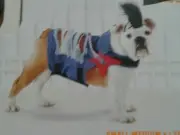 USA seller New Halloween pet rocket set Pet Costume s/m fast shipping