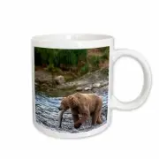 3dRose Grizzly Bears, McNeil River Sanctuary, Alaska, USA - US02 TNO0041 - Tom N