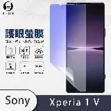 在飛比找遠傳friDay購物精選優惠-【護眼螢膜】Sony Xperia 1 V 10 V抗藍光 