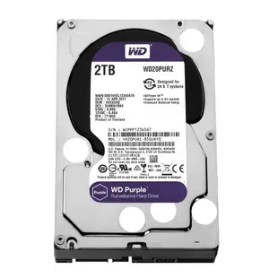 WD Purple 2TB (WD20PURZ)紫標監控專用硬碟