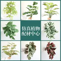 在飛比找樂天市場購物網優惠-仿真植物仿真綠植假綠植把束假花植物墻仿真草坪裝飾把束廠家批發