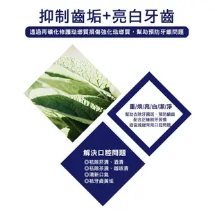 韓國 2080 三重亮白修護牙膏 100g 美白牙膏 牙齒美白 牙膏 含氟