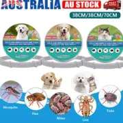 Anti Flea & Tick Collar For Large Small Dogs Cats 8 Month Protection Adjustable