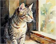 Window Gazing Cat Paint by Numbers Kit for Adults - DIY Tabby Cat Looking Outside Painting on Canvas 16x20 Inches, Acrylic Paint Set, Suitable for Beginners,Pet Art for Home Decoration/Gifts