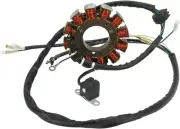 Stator Kit Rick's 21-562 For 00-02 Polaris Magnum/Trail Boss/Xpedition 325
