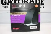 RAB Slim 37W • Cool LED Wallpack 5000K Wall Lighting Bronze