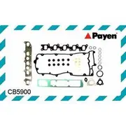 Payen Head Set (VRS) - CB5900