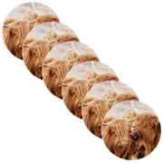 6x Splosh Home Sweet Home 11cm Highland Cows Round Ceramic Coaster Table