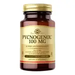 【限時下殺】SOLGAR碧蘿芷 PYCNOGENOL 100MG 法國鬆樹皮 美國原裝