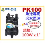 【天隆五金】(附發票)大井 PK100 出口1吋 100W 海水養殖 魚池專用 沉水泵浦 可24小時運轉 水龜 沉水幫浦