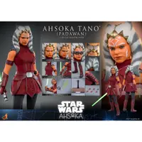 在飛比找蝦皮購物優惠-預購 Hot Toys – TMS123 –《 星際大戰 》