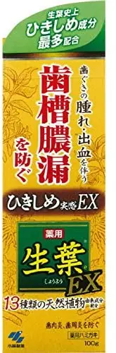 在飛比找惠比壽藥妝優惠-生葉 齒槽膿漏防止 藥用牙膏EX 100g