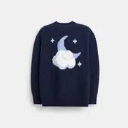 Chunky Graphic Sweater In Recycled Wool