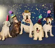 Happy Birthday Card! Dog Pawty Card Designer Handmade 3D card by Burgoyne