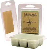 2 Pack - Eucalyptus Scented Soy Wax Melts | Long Lasting Fragrance Cubes | Hand Poured in The USA by Just Makes Scents Candles & Gifts