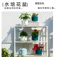 在飛比找momo購物網優惠-【品屋】水培花盆(花盆 花器 塑膠花盆 透明塑膠 綠蘿 花卉