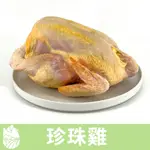 🐓縱谷傍山雞🐓 珍珠雞母  肉質鮮嫩Q彈 合法電宰優質雞肉 花蓮瑞穗鄉、富里鄉知名餐廳指名選用