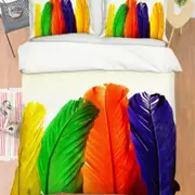 3D Color Feather 383 Bed Pillowcases Quilt Queen Size