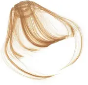 SHERCHPRY 2pcs Clip Wispy Bangs Hair Extensions for Women Lightweight High Temperature Hairpiece Fake Bang Wig for Fashionable Looks