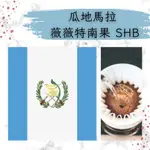 瓜地馬拉 薇薇特南果 SHB 水洗 單品 咖啡豆 濾掛咖啡 手沖咖啡 手沖