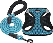 matilor 2 Packs Dog Harness Step-in Breathable Puppy Cat Dog Vest Harnesses for Small Medium Dogs
