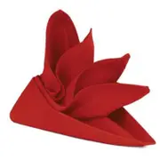 RANS Lollipop Red Napkin