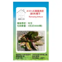 在飛比找momo購物網優惠-【蔬菜工坊】A101.紅蘿蔓萵苣/歐洲/種子4克(約4000