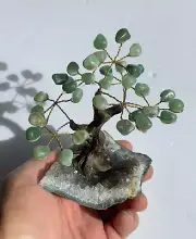 Amazonite Gem Tree/Crystal Tree (S) 7 branches, 35 Crystals TR046