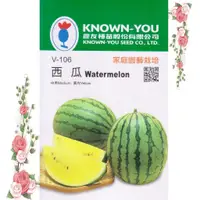 在飛比找蝦皮購物優惠-香蜜花園 ☘️農友牌☘️小玉西瓜 Watermelon 家庭