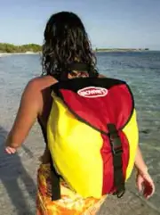 Brownie's Third Lung Mesh Backpack Bag