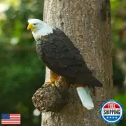 VIRAWA Bald Eagle Statue Tree Hugger, 13 Inches Resin American Eagle Tree Fac