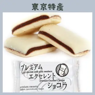 日本直送 東京銀座 巧克力 20入 送禮 禮盒 日本特產 情人節 禮物 伴手禮 日本零食 日本禮盒 烤巧克力